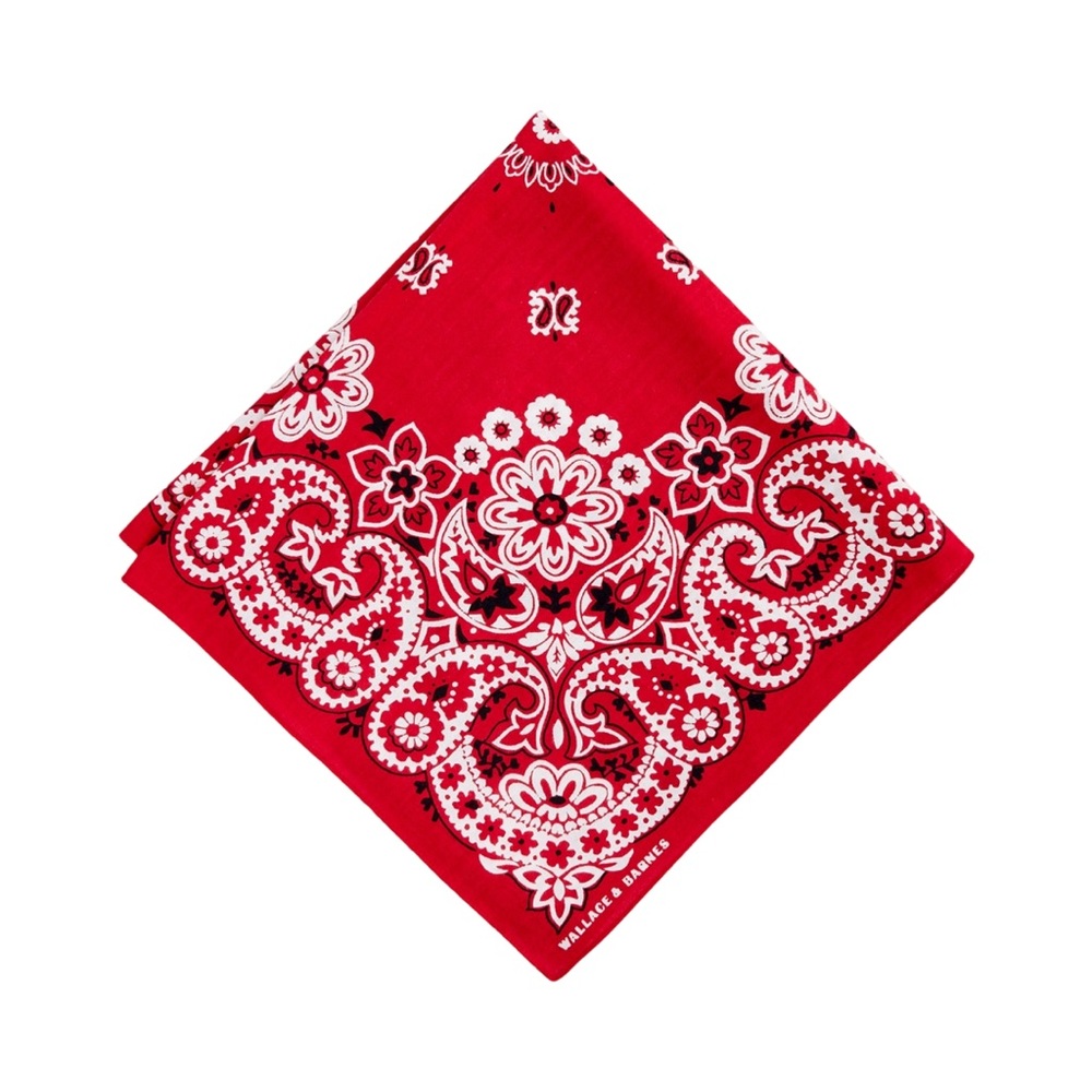 Wallace & Barnes ORGANIC COTTON bandana- RED WESTERN FLORAL